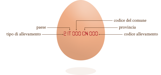 Come si legge un uovo - Società Agricola F.lli Rosso. Uovo del Roero
