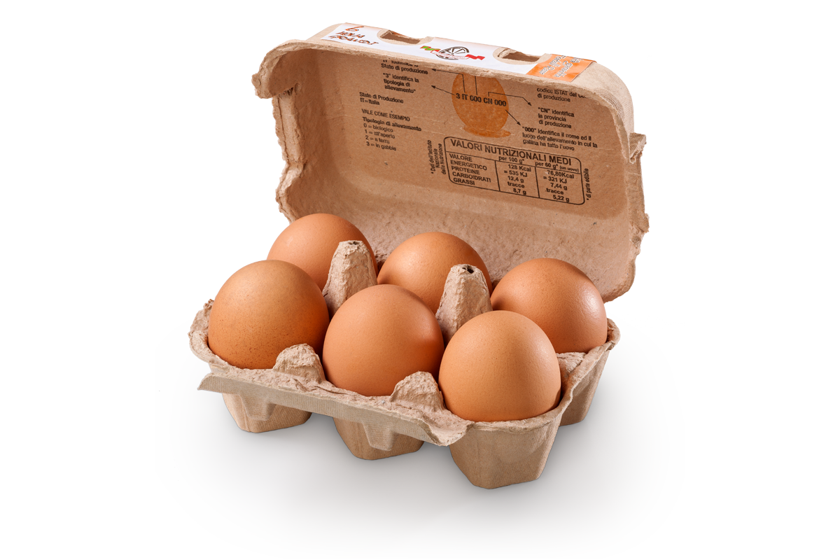 Uova di gallina L grandi. Confezione in polpa di legno da 6 uova - Uovo del Roero