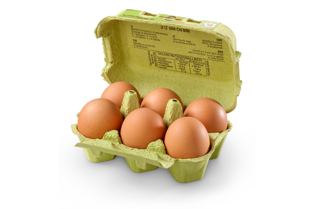 Uova di gallina allevate a terra L grandi. Confezione in polpa di legno da 6 uova - Uovo del Roero
